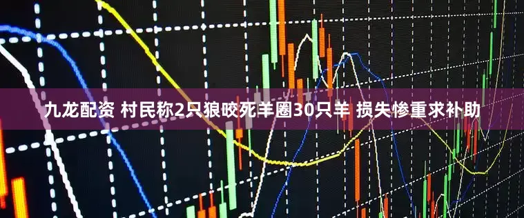 九龙配资 村民称2只狼咬死羊圈30只羊 损失惨重求补助